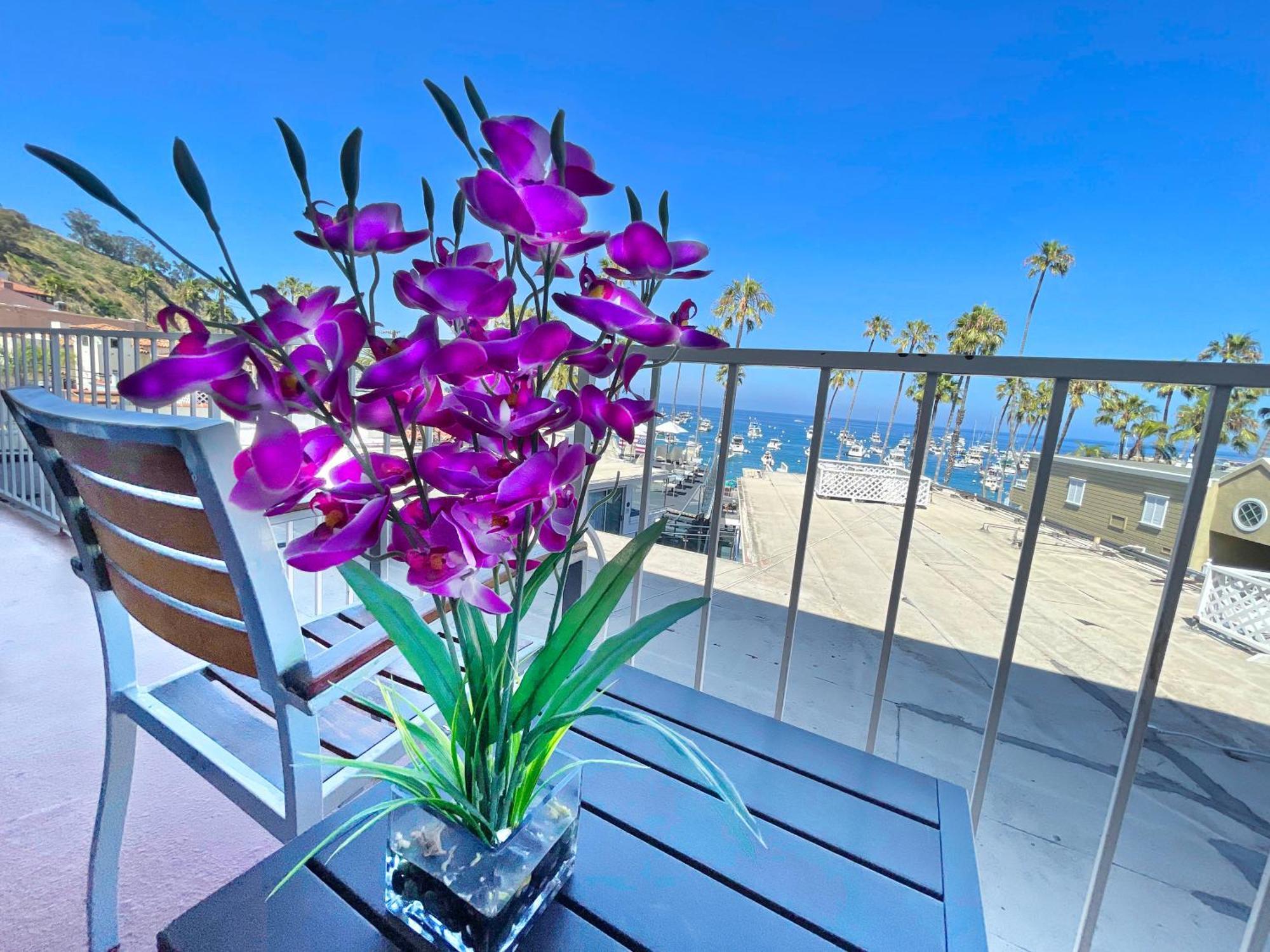 Catalina Courtyard Suites Avalon Exteriér fotografie